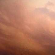 ヒメ日記 2025/04/29 15:48 投稿 あゆな クラブレア南大阪