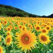 ヒメ日記 2025/05/03 12:22 投稿 あゆな クラブレア南大阪