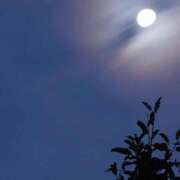 ヒメ日記 2025/05/05 00:02 投稿 あゆな クラブレア南大阪