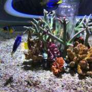 ヒメ日記 2025/05/07 07:22 投稿 あゆな クラブレア南大阪