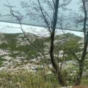 ヒメ日記 2025/05/07 17:52 投稿 あゆな クラブレア南大阪