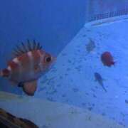 ヒメ日記 2025/05/08 09:07 投稿 あゆな クラブレア南大阪