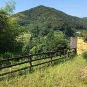 ヒメ日記 2025/05/12 08:37 投稿 あゆな クラブレア南大阪