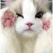 ヒメ日記 2025/05/21 22:12 投稿 あゆな クラブレア南大阪