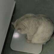 ヒメ日記 2025/05/23 14:02 投稿 あゆな クラブレア南大阪