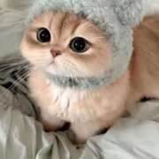 ヒメ日記 2025/05/25 17:00 投稿 あゆな クラブレア南大阪