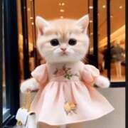 ヒメ日記 2025/05/29 09:22 投稿 あゆな クラブレア南大阪