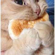 ヒメ日記 2025/06/07 08:22 投稿 あゆな クラブレア南大阪