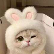 ヒメ日記 2025/06/13 15:52 投稿 あゆな クラブレア南大阪