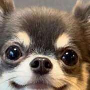 ヒメ日記 2025/06/23 22:32 投稿 あゆな クラブレア南大阪