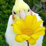 ヒメ日記 2025/06/23 22:38 投稿 あゆな クラブレア南大阪