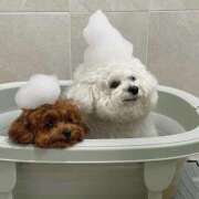 ヒメ日記 2025/06/26 13:22 投稿 あゆな クラブレア南大阪