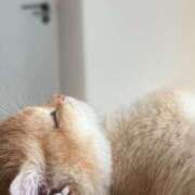 ヒメ日記 2025/06/29 10:42 投稿 あゆな クラブレア南大阪