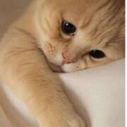 ヒメ日記 2025/07/02 08:42 投稿 あゆな クラブレア南大阪