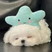 ヒメ日記 2025/07/05 10:52 投稿 あゆな クラブレア南大阪