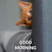 ヒメ日記 2025/07/21 09:22 投稿 あゆな クラブレア南大阪