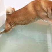 ヒメ日記 2025/07/22 14:19 投稿 あゆな クラブレア南大阪