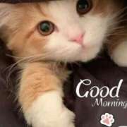 ヒメ日記 2025/07/25 08:12 投稿 あゆな クラブレア南大阪