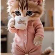 ヒメ日記 2025/07/27 08:46 投稿 あゆな クラブレア南大阪