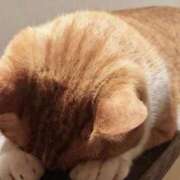 ヒメ日記 2025/08/17 19:42 投稿 あゆな クラブレア南大阪