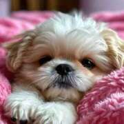 ヒメ日記 2025/08/30 23:42 投稿 あゆな クラブレア南大阪