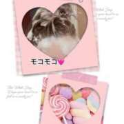 ヒメ日記 2025/09/02 08:47 投稿 あゆな クラブレア南大阪