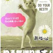 ヒメ日記 2025/10/16 08:41 投稿 あゆな クラブレア南大阪