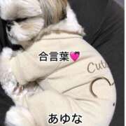 ヒメ日記 2025/11/24 13:02 投稿 あゆな クラブレア南大阪