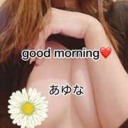 ヒメ日記 2026/01/26 08:30 投稿 あゆな クラブレア南大阪