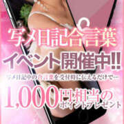 ヒメ日記 2026/01/31 14:49 投稿 あゆな クラブレア南大阪