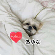 ヒメ日記 2026/02/28 11:30 投稿 あゆな クラブレア南大阪