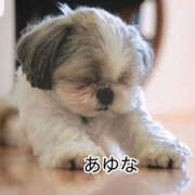 ヒメ日記 2026/03/29 15:40 投稿 あゆな クラブレア南大阪