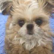 ヒメ日記 2026/04/28 23:01 投稿 あゆな クラブレア南大阪