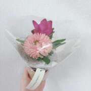 ヒメ日記 2025/07/09 16:11 投稿 あやめ アイビーム