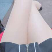 ヒメ日記 2026/03/10 18:11 投稿 あやめ アイビーム