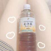 ヒメ日記 2025/04/20 17:31 投稿 あいり ダイスキ