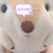 ヒメ日記 2025/04/27 14:40 投稿 あいり ダイスキ