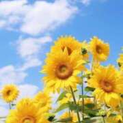 ヒメ日記 2025/07/25 07:17 投稿 華月さよ ハプニング痴漢電車or全裸入室