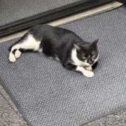 ヒメ日記 2025/09/24 07:17 投稿 華月さよ ハプニング痴漢電車or全裸入室