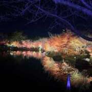 ヒメ日記 2025/12/17 07:17 投稿 華月さよ ハプニング痴漢電車or全裸入室