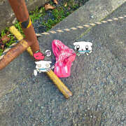 ヒメ日記 2025/04/21 14:30 投稿 はすはす あるまぎ！