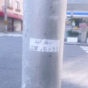 ヒメ日記 2025/05/17 13:44 投稿 はすはす あるまぎ！