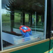 ヒメ日記 2025/05/20 14:20 投稿 はすはす あるまぎ！