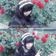 ヒメ日記 2025/07/07 13:43 投稿 はすはす あるまぎ！