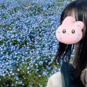 ヒメ日記 2025/04/20 14:35 投稿 はづき カルテ