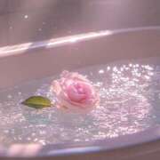 ヒメ日記 2025/06/23 12:01 投稿 はづき カルテ