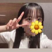 ヒメ日記 2025/07/09 19:00 投稿 はづき カルテ