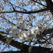 ヒメ日記 2025/04/08 23:58 投稿 百瀬～MOMOSE～ BBW大宮店