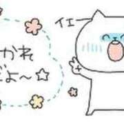 ヒメ日記 2025/08/04 18:36 投稿 れな ニューヨーカー