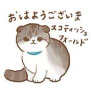 ヒメ日記 2025/08/13 06:48 投稿 れな ニューヨーカー